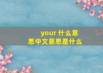 your 什么意思中文意思是什么